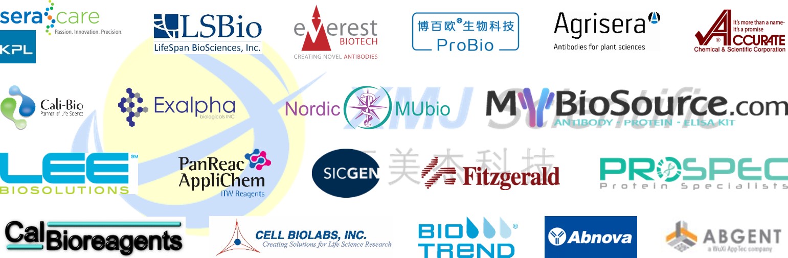 熱烈慶祝西美杰代理Everest Biotech\Nordic-MUbio\Exalpha三大免疫學品牌